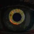 Te Miro