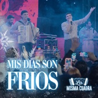 Mis Días Son Fríos - Single - La Misma Cuadra