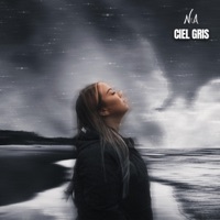 Ciel Gris - Single - Nia