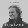 BRIME GURA VRIME