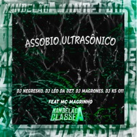 Assobio Ultrasônico (feat. Mc Magrinho) - Single - Dj Negresko, DJ Leo da DZ7, DJ Magrones & DJ KS 011