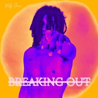 BREAKING OUT - Melly Fluous