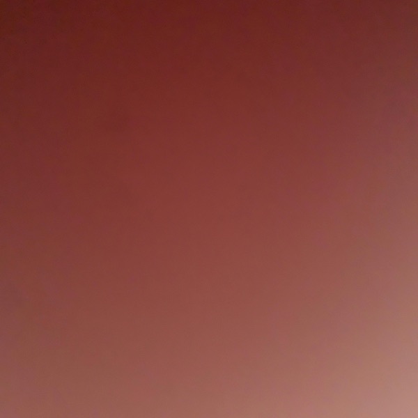 556