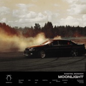 Moonlight artwork