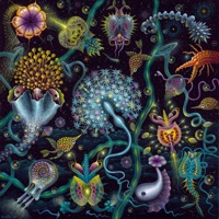 Elementary Particles (2019 Remastered) - Bluetech