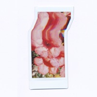 Nebula - EP - Fed Nance