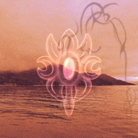 Confusion - Single - anw