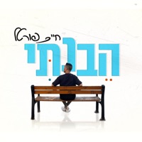 הבנתי - Single - חיים פורטל