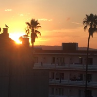 VITAMIN D - Single - ELUX, OFFBEAT & Arthuro