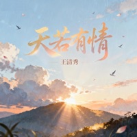 天若有情 - Single - Vương Thanh Tú