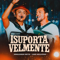 Insuportavelmente - Single - Arnaldinho Netto & Luan Estilizado