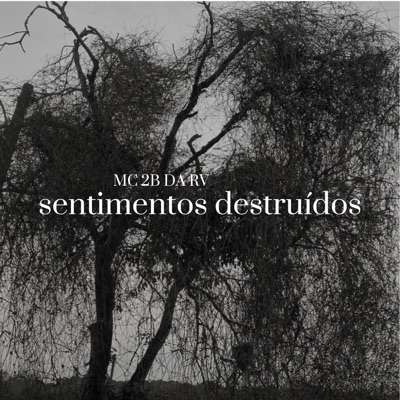 Sentimentos Destruídos - Single