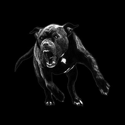La fin du début - Single