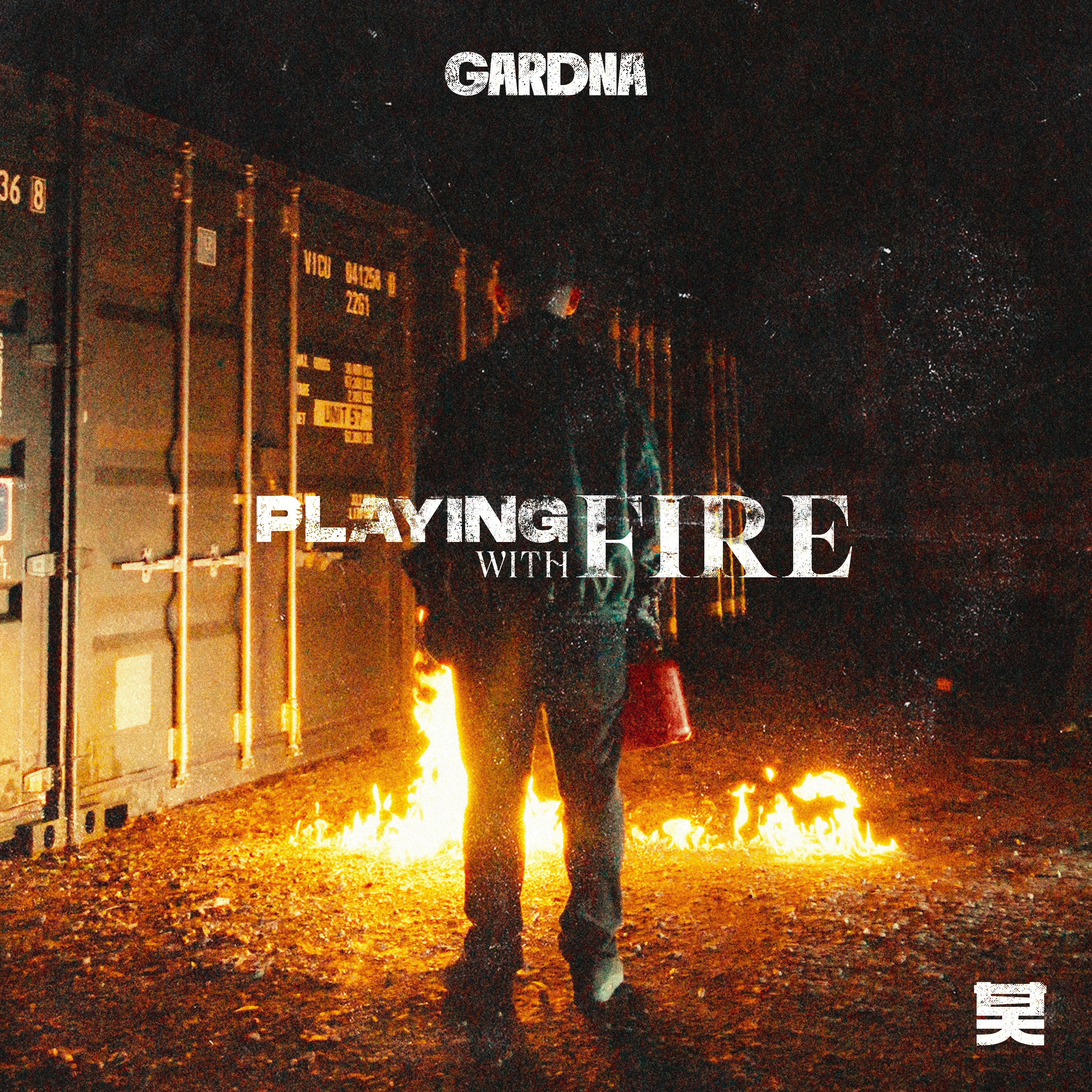 Playing With Fire - Single