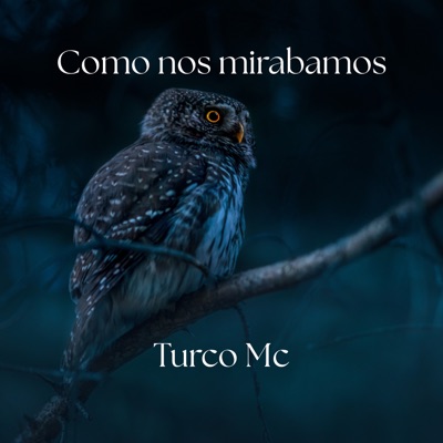 Como Nos Mirábamos - Single