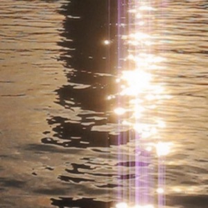 blissful lights - Single