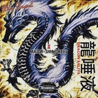 Dragon Saliva (feat. SHHMOKEYY & Major) - Single - Riley Slaysall