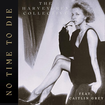 No Time To Die (feat. Caitlin Grey) - Single