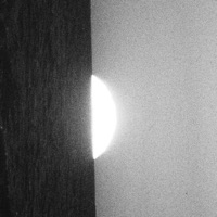 let the light in (feat. roop) - Single - larua