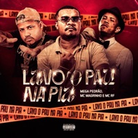 LAVO PAU NA PIA - Single - MEGA PEDRÃO