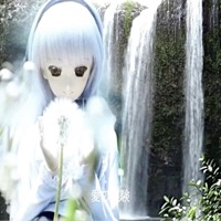 roses - Single - hvrts