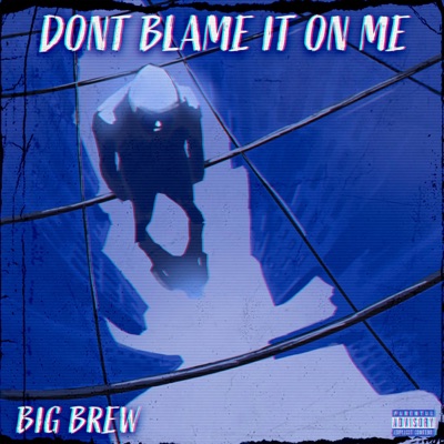 DONT BLAME IT ON ME V2