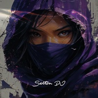 Flauta da Agressão - Single - Selton DJ