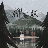 柳絮飘 - Single - 洛伊Kloe