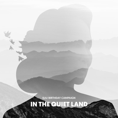 In The Quiet Land (feat. Ninzi May, Dannayi & Millennial Echoes) [Karaoke Version] - Single