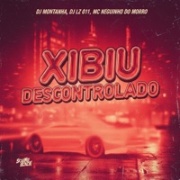 Xibiu Descontrolado - Single - Mc Neguinho do Morro