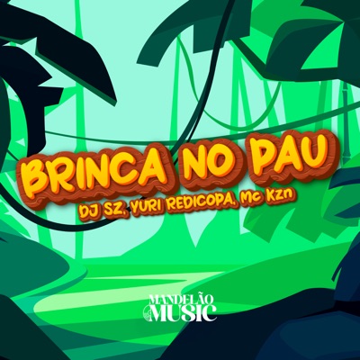 Brinca no Pau (feat. MC KZN) - Single