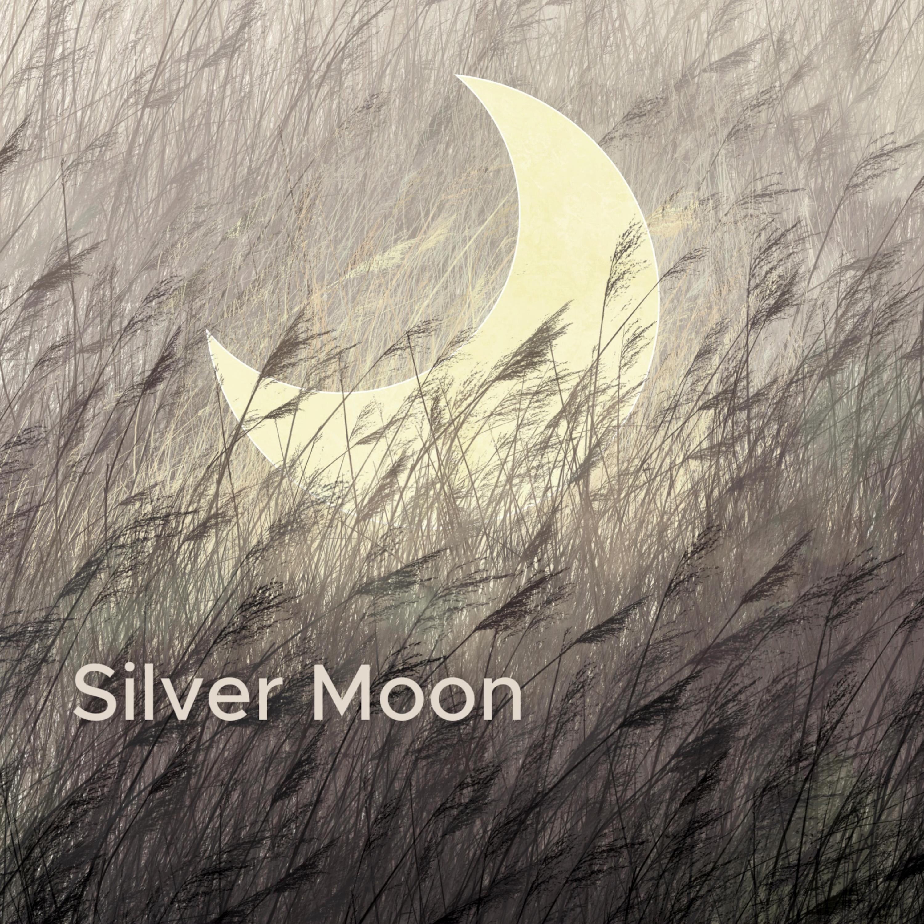 Silver Moon (Relax Saxophone Mix) - Single
