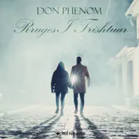 Rruges I Trishtuar — Don Phenom