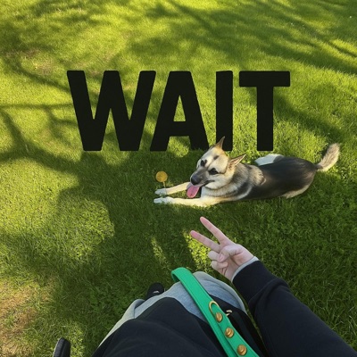 WAIT! - Single