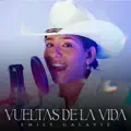 Vueltas da la vida