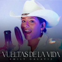 Vueltas da la vida