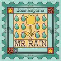 Mr. Rain