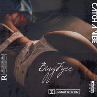 Catch A Vibe - Single - Bigg Fyee