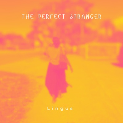 The Perfect Stranger - Single