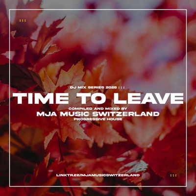 Time to Leave (DJ Mix)