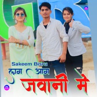 लग आग जवानी में (feat. Payal Singer) - EP - Sakeem Bisru & Sadik Singariya