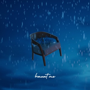 Haunt Me - Single