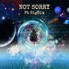 Not Sorry (Remix) [feat. 6ig6ix] - Single