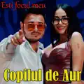 Esti Focul Meu