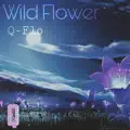 Flo