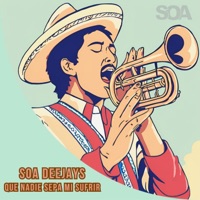 Que Nadie Sepa Mi Sufrir