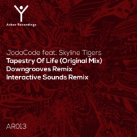 Tapestry of Life - Single - JodaCode, Downgrooves & Interactive Sounds