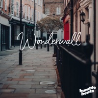 Wonderwall - Single - Vidalima & HumbleBeats