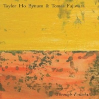 Through Foundation - Tomas Fujiwara & Taylor Ho Bynum