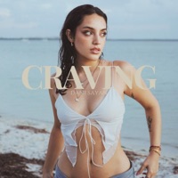 Album cover for craving by Dani Sayan
